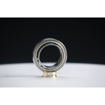 China Factory Bearing Steel Cylindrical Roller Bearing Auto Bearing Nn3038